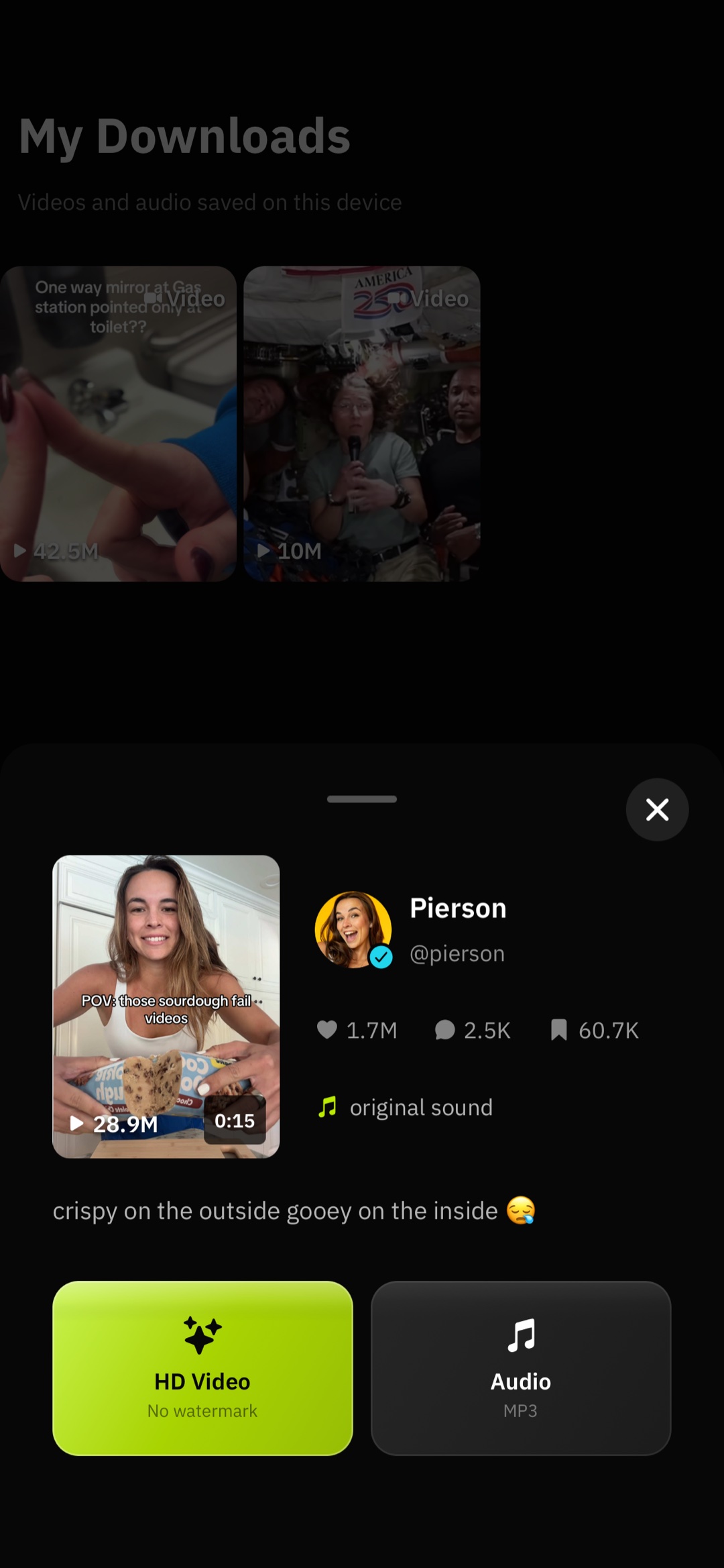 SnapTik — HD quality without watermark